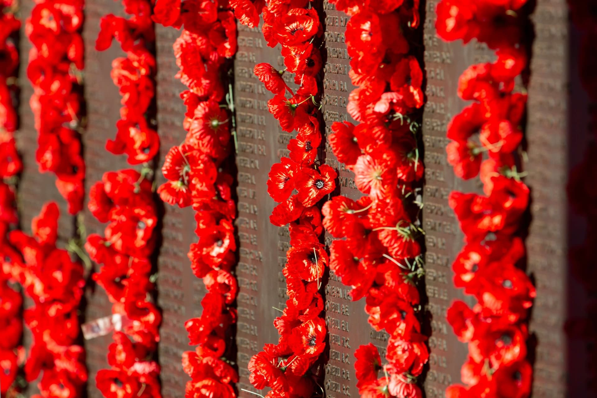 14 Day Türkiye with ANZAC Day Dawn Service 2026